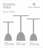 SHUNYA TABLE - SET OF 3
